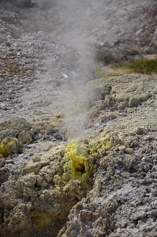 2017-03 New Zealand/Waiotapu/DSC_0306.JPG